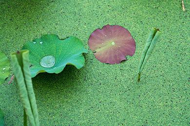 平台解谜游戏《逃离梦境》今日登陆Steam